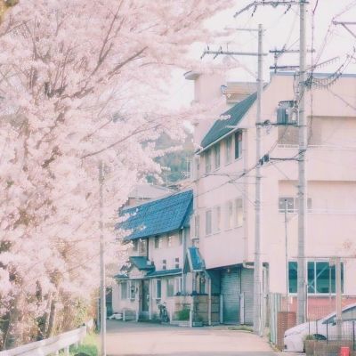 爱情公寓红包游戏下载
