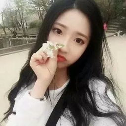 和猫烤面包中文版下载